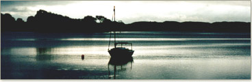 view from the pier at dusk